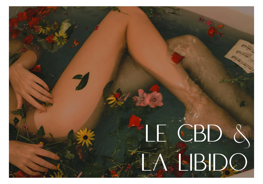 Comment le CBD affecte-t-il la libido? - TUDO BEM PARIS