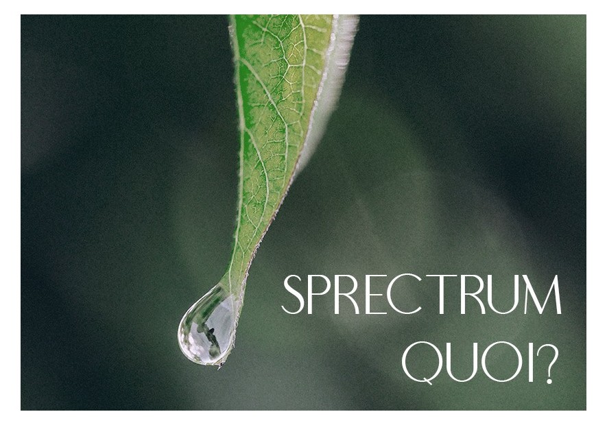 Spectre complet, large ou isolat ? - TUDO BEM PARIS