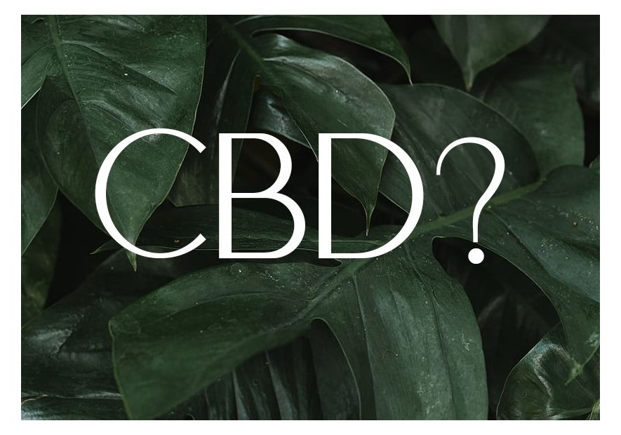 Qu'est-ce que le CBD ? Guide complet - TUDO BEM PARIS
