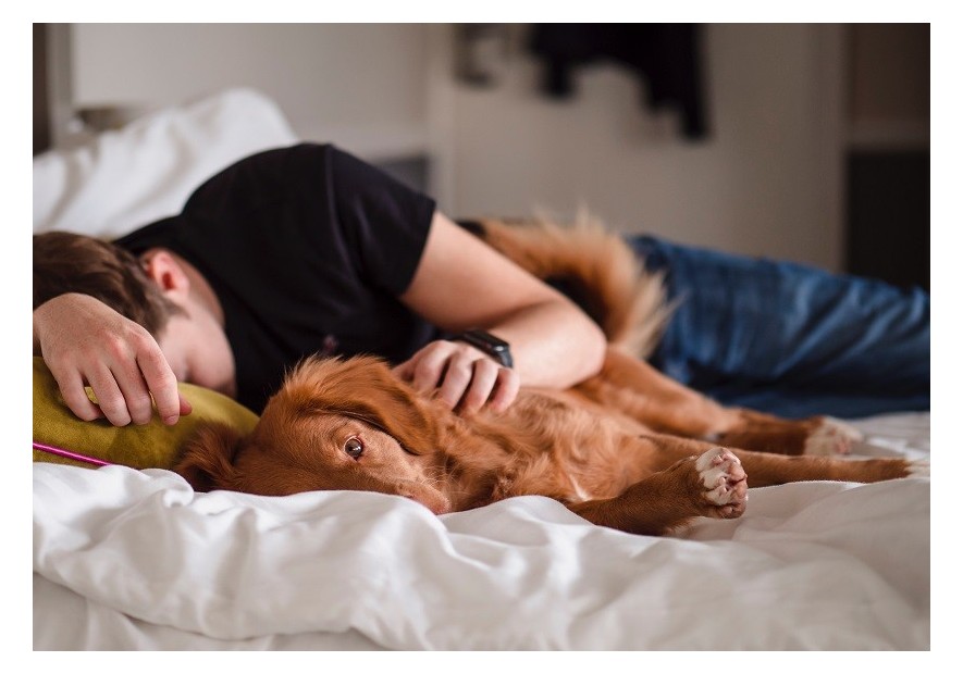 Votre guide complet pour faire la meilleure sieste de votre vie - TUDO BEM PARIS