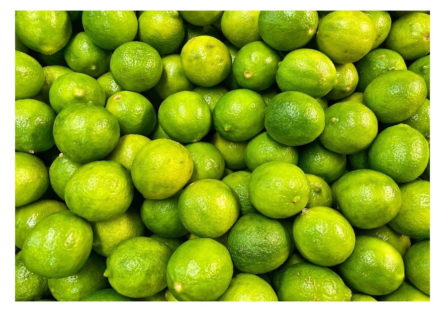 Les 15 aliments qui renforcent le système immunitaire